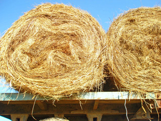 Two rolls of hay
