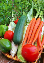 Wicker baskets overflowing with freshly picked vegetables
