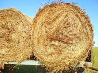 Two rolls of hay on a cart