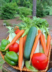 Wicker baskets overflowing with freshly picked vegetables