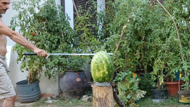 watermelon samurai
