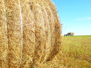 Roll of straw and cart