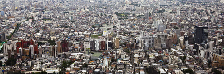 tokyo, japan: shinjuku cityscape