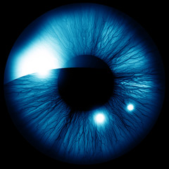 Human iris