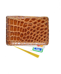 Purse with credit cards