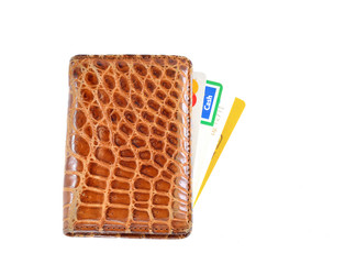 Purse with credit cards