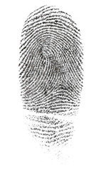 Black fingerprint