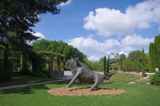 Le taureau de Derbr&eacute; au parc de Maurepas