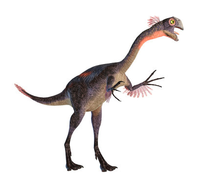gigantoraptor walking