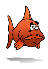 the cute fish red bash