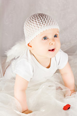 Baby cupid with angel wings