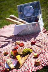 Picnic basket on green lawn