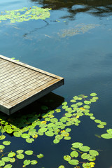 Naklejka premium Deck and water lilies