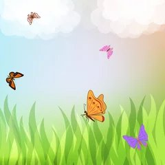 Poster Vlinders Kleurrijke vlinders die over groen gras vliegen