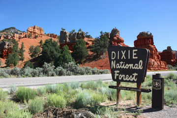 États-Unis - Canyon rouge (Forêt nationale de Dixie)