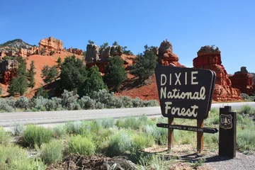 Crédence de cuisine en verre imprimé Parc naturel États-Unis - Canyon rouge (Forêt nationale de Dixie)