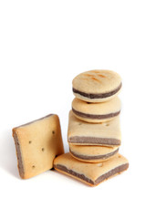 Biscuits pour chien
