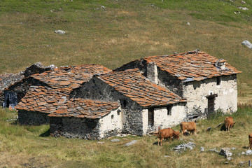 Vieilles maisons aux toits de lauzes © jeanmi