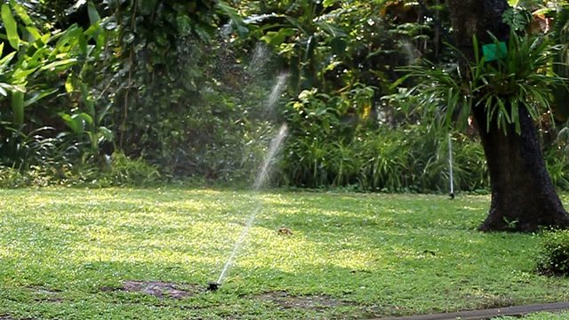 sprinkler spraying water In the garden