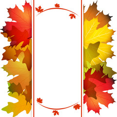 Fall leafs abstract background with place for your text