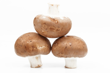 drei braune Champignons