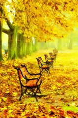 Photo sur Plexiglas Automne Row of red benches in the park