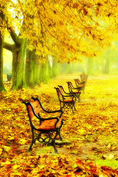 Row Of Red Benches In The Park