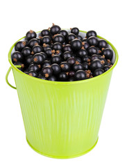 Black currant in metal bucket isolated on white