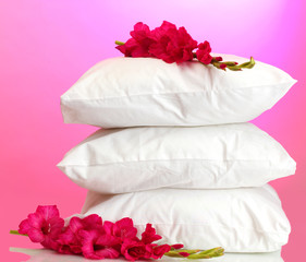pillows and flower, on pink background