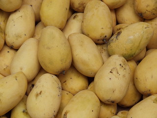 Kartoffeln