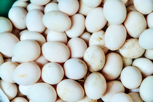 Many fresh heap duck eggs as background.