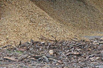 sawdust and wood after cutting a sawmill