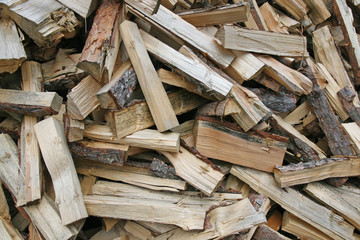 pieces of wood cut from lumberjack