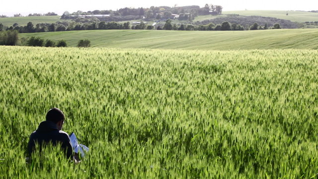 A boy reading in a field of wheat