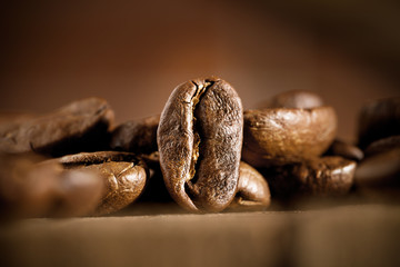 beans of coffee on dark background