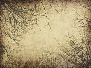 Obraz na płótnie Canvas tree with old grunge antique paper texture