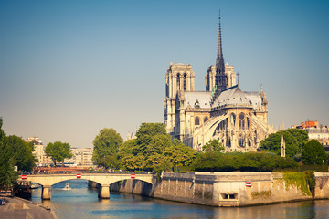 Fototapeta na wymiar Widok na Notre Dame de Paris