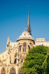 Fototapeta na wymiar Notre Dame w Paryżu