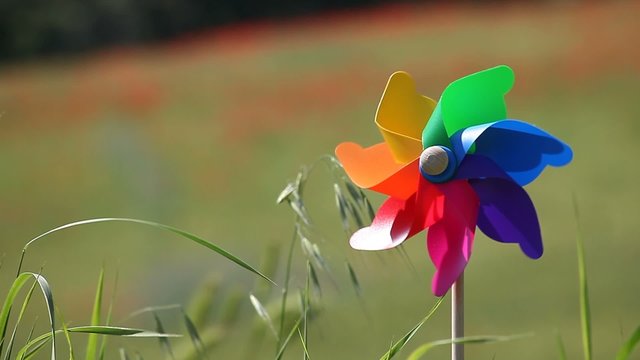 Colorful windmill in a field of wheat