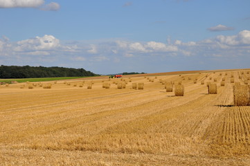 Fototapeta premium Balles de paille dans le Val d'Oise