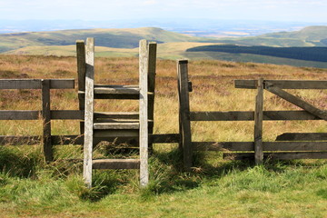 ladder stile across fence in Cheviot Hills in Northumberland