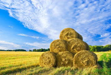 After a harvest © andrew