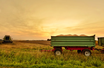 Ernte im Sonnenuntergang