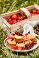 summer muffins