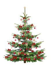 Tannenbaum