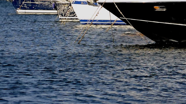 Yachts standing in a row