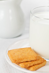 Glass of milk on the plate with cookies and a jug of milk