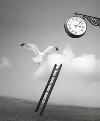 Fantasy time