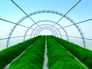 Fototapeta premium long greenhouse