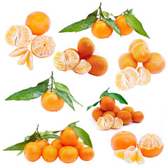 Set of mandarin